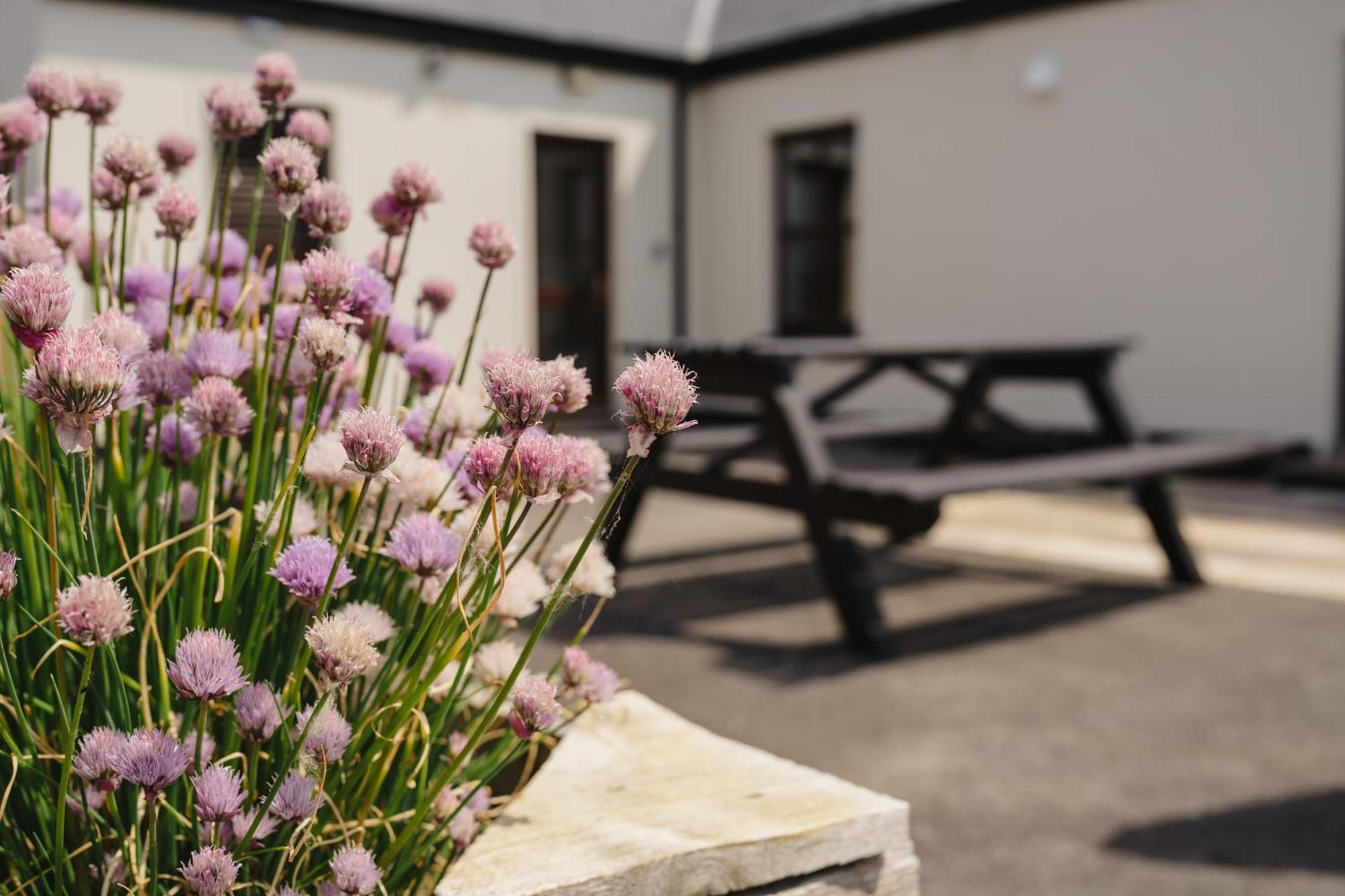 Creevy Cottages Rossnowlagh Exterior foto